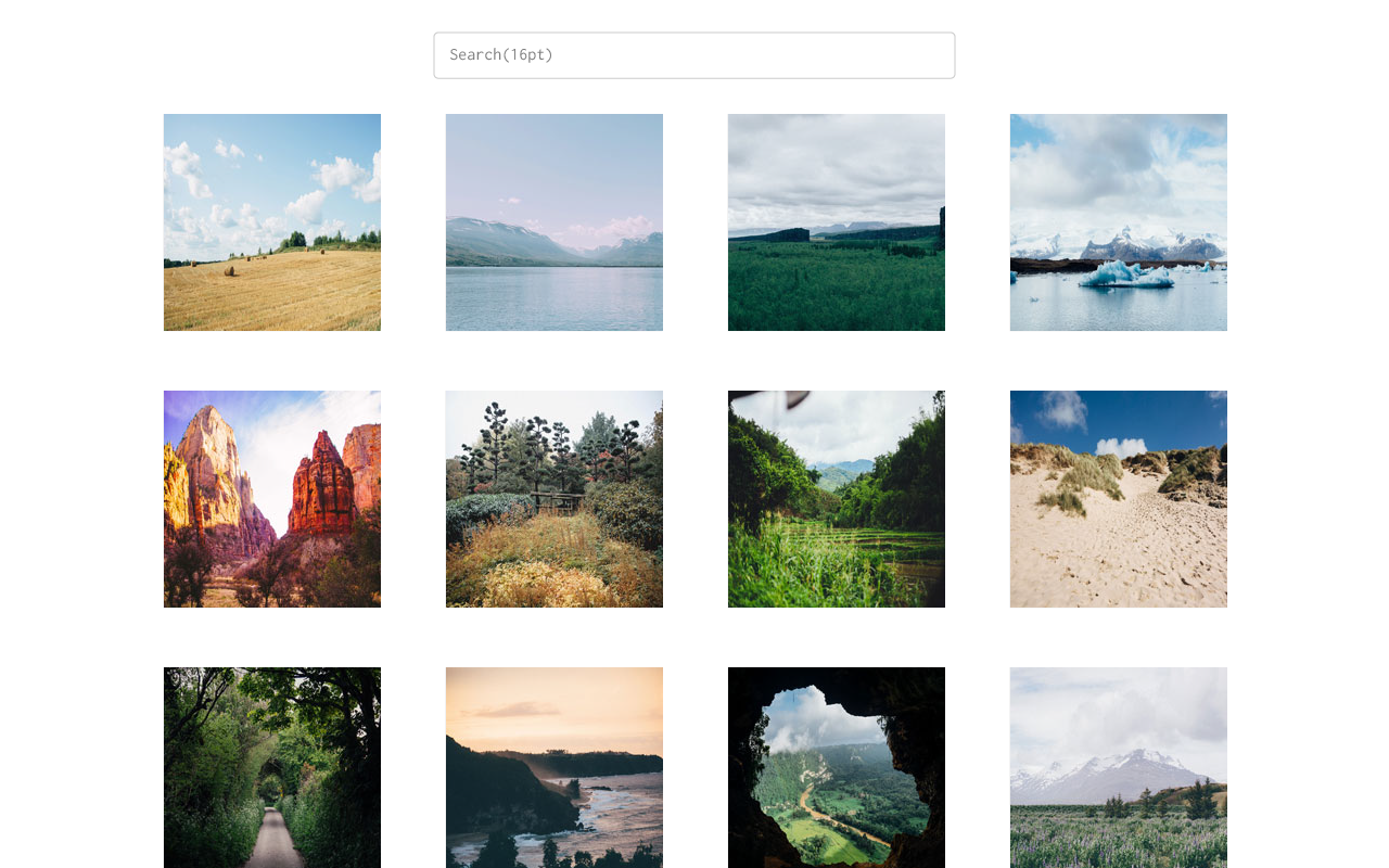 Photo Gallery